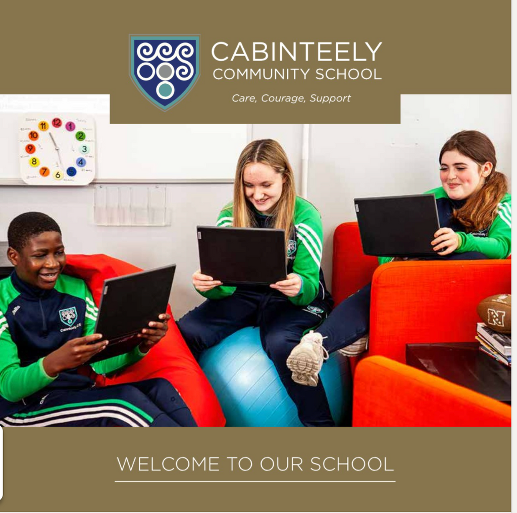 Elected as Chair of the Board Cabinteely Community School