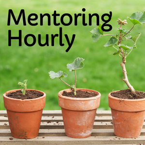 Mentoring Hourly