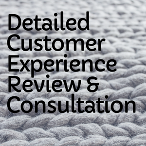 Detailed Customer Experience Review & Consultation